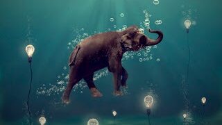 Hayalcilik ve Gerçekçilik Olgusu