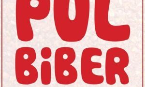 Pulbiber Dergisi | Zehir Zıkkım Gibi Dergi