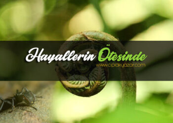 hayallerin ötesinde bir dünya