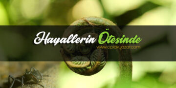 hayallerin ötesinde bir dünya