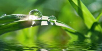 İçsel devrim ve insan hayatı