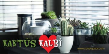 intak sanati çalışması kaktüs kalbi