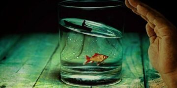 Tesadüf Olamaz Dedirtecek Türden Yaşadığım İlginç Olaylar