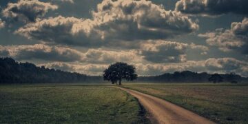 kendini gerçekleştiren kehanet