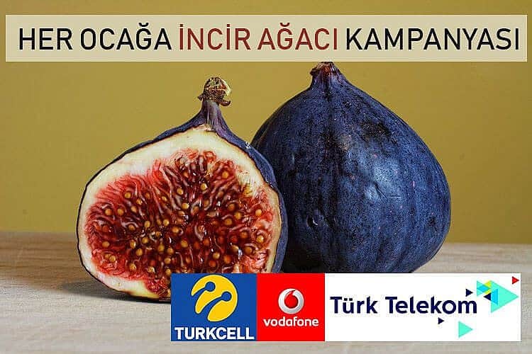 türk telekom turkcell vodafone