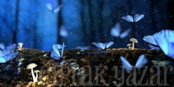 Kısa Hikaye: Odadaki Kelebek