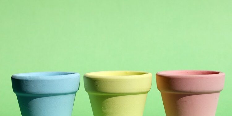 Bizden Çiçek Olmaz