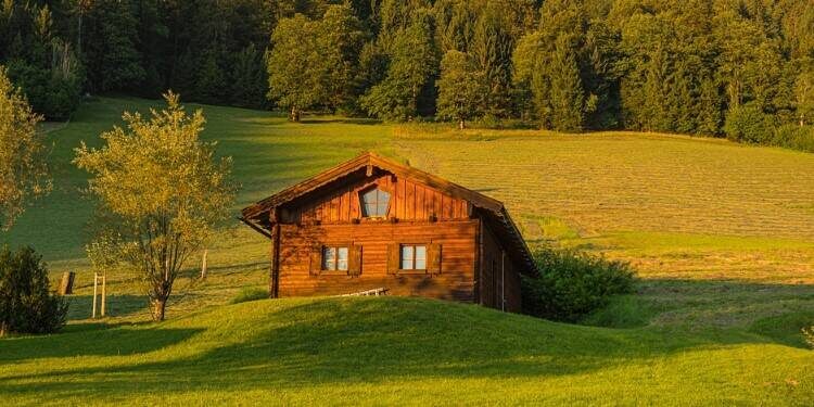 Sizden Gelen Öyküler: Sevimli Konuk