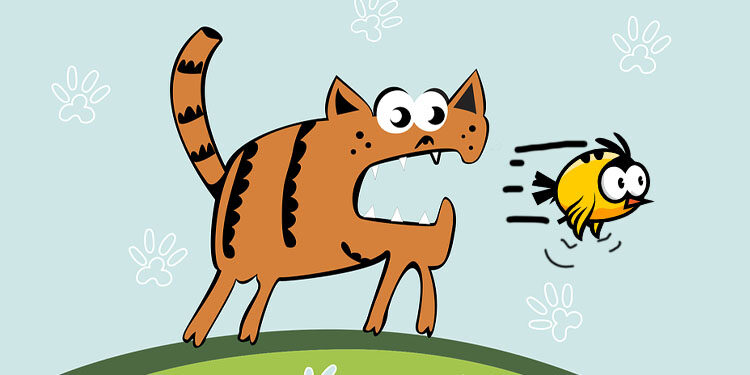 Kuşu kurtarıp, kediyi aç bırakmak! – İnsan Olmak Üzerine