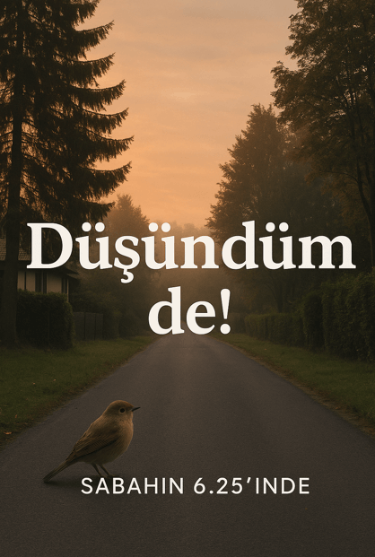 düşündüm de